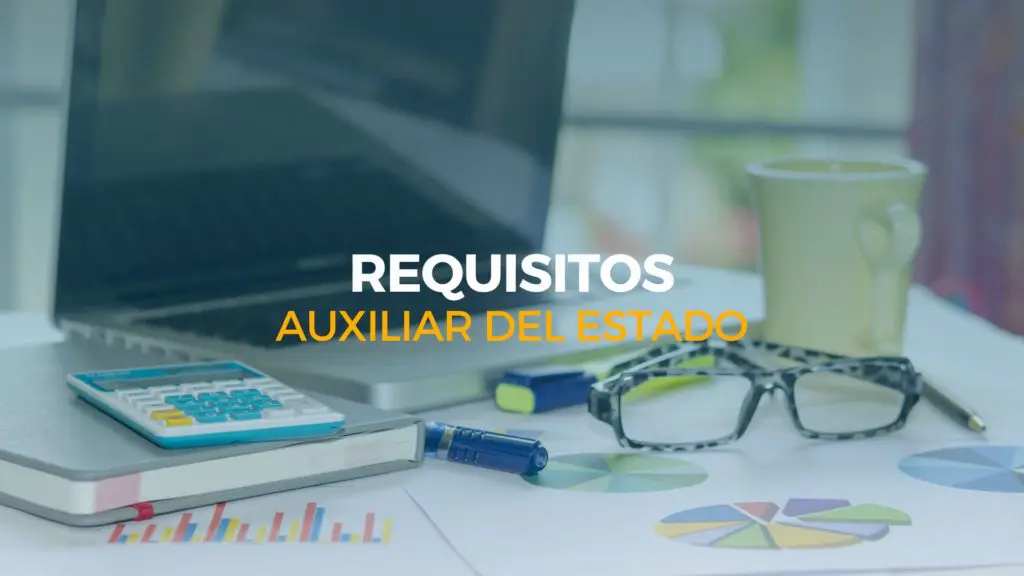 requisitos auxiliar del estado