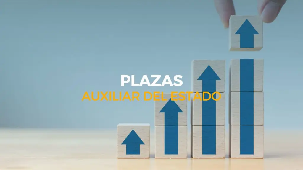 plazas auxiliar del estado