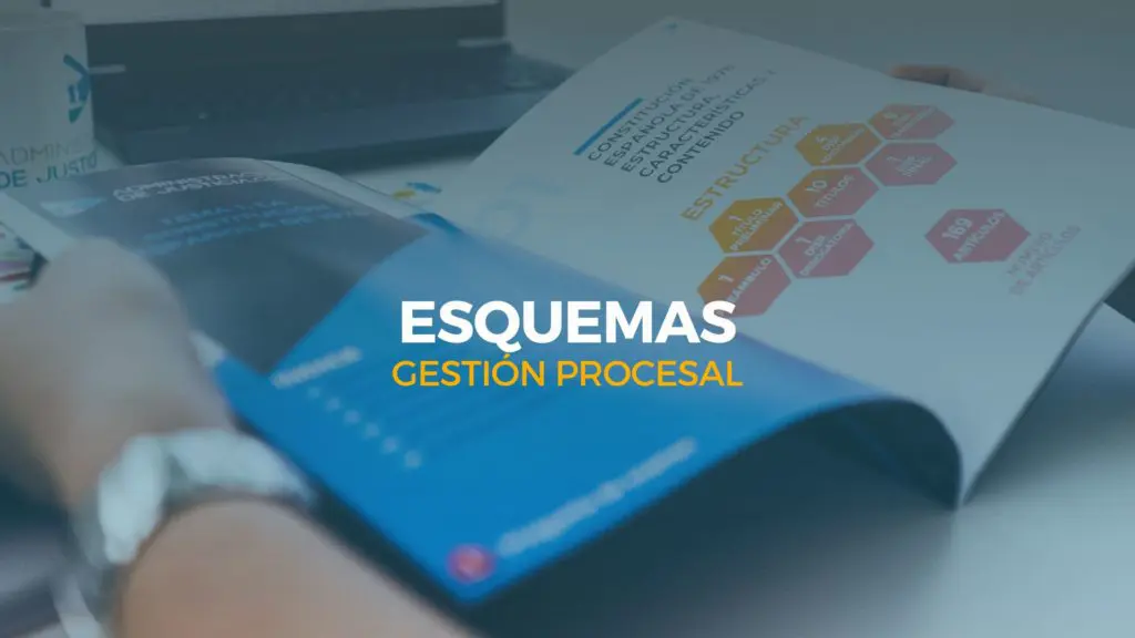 esquemas gestión procesal