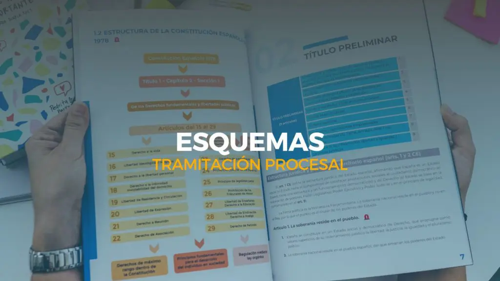 esquemas tramitación procesal