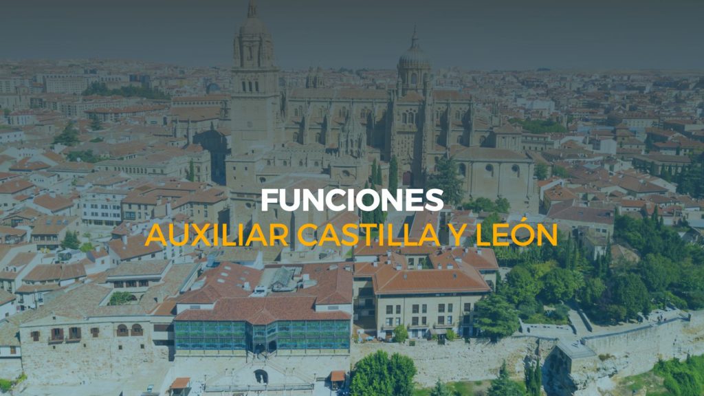 funciones auxiliar castilla y león