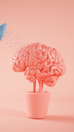 neurociencia-tecnicas-de-estudio